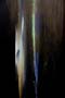 Solstice II (detail) 