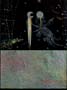 Seasonal Shift (moondust)